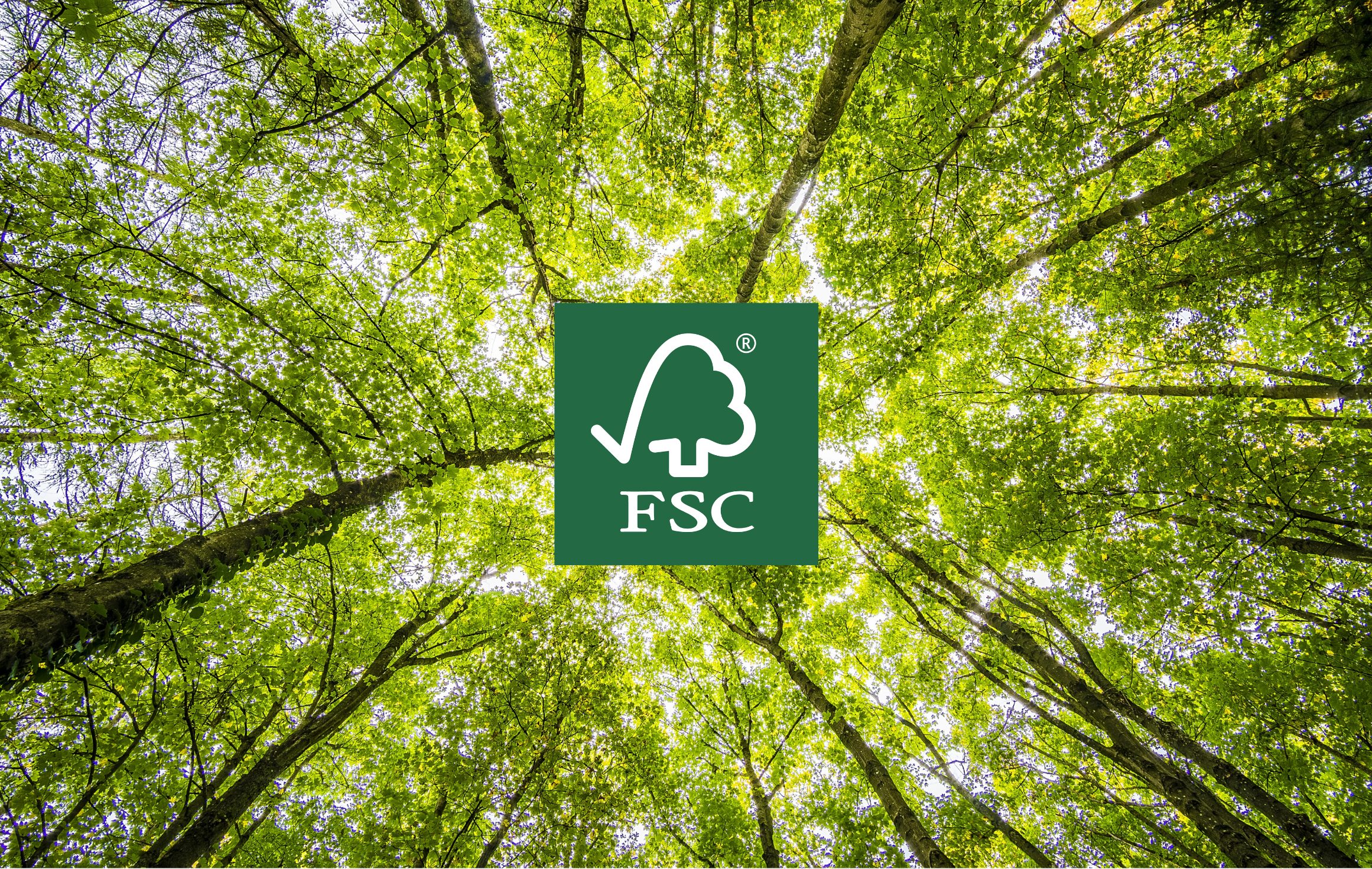 220222_FSC_aktuell